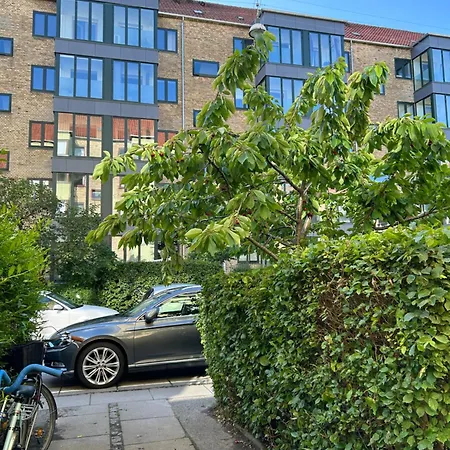 Dream In Centre 公寓