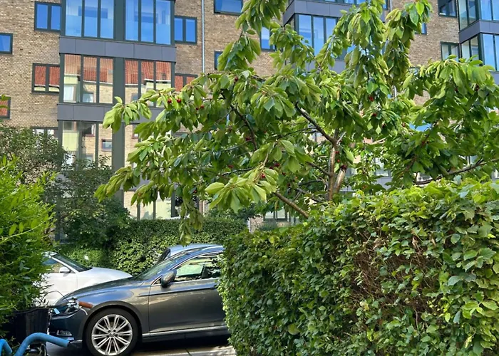 Dream In Centre Lejlighed